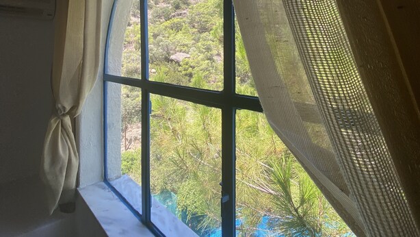 Una habitación con un amplio ventanal arqueado, una cortina y vistas a un paisaje verde.