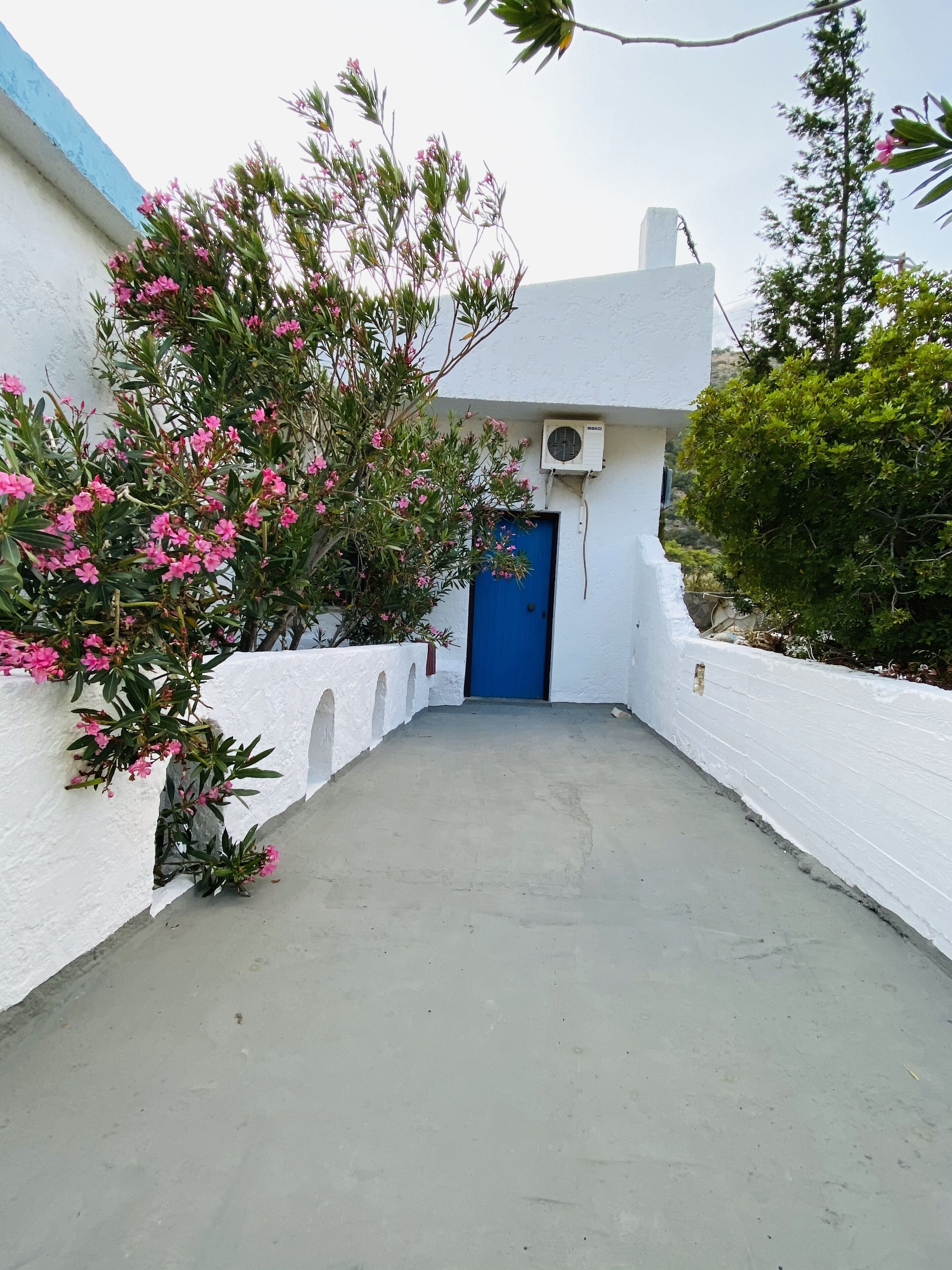 A narrow concrete pathway leading to a blue door on a white building with pink flowering plants.