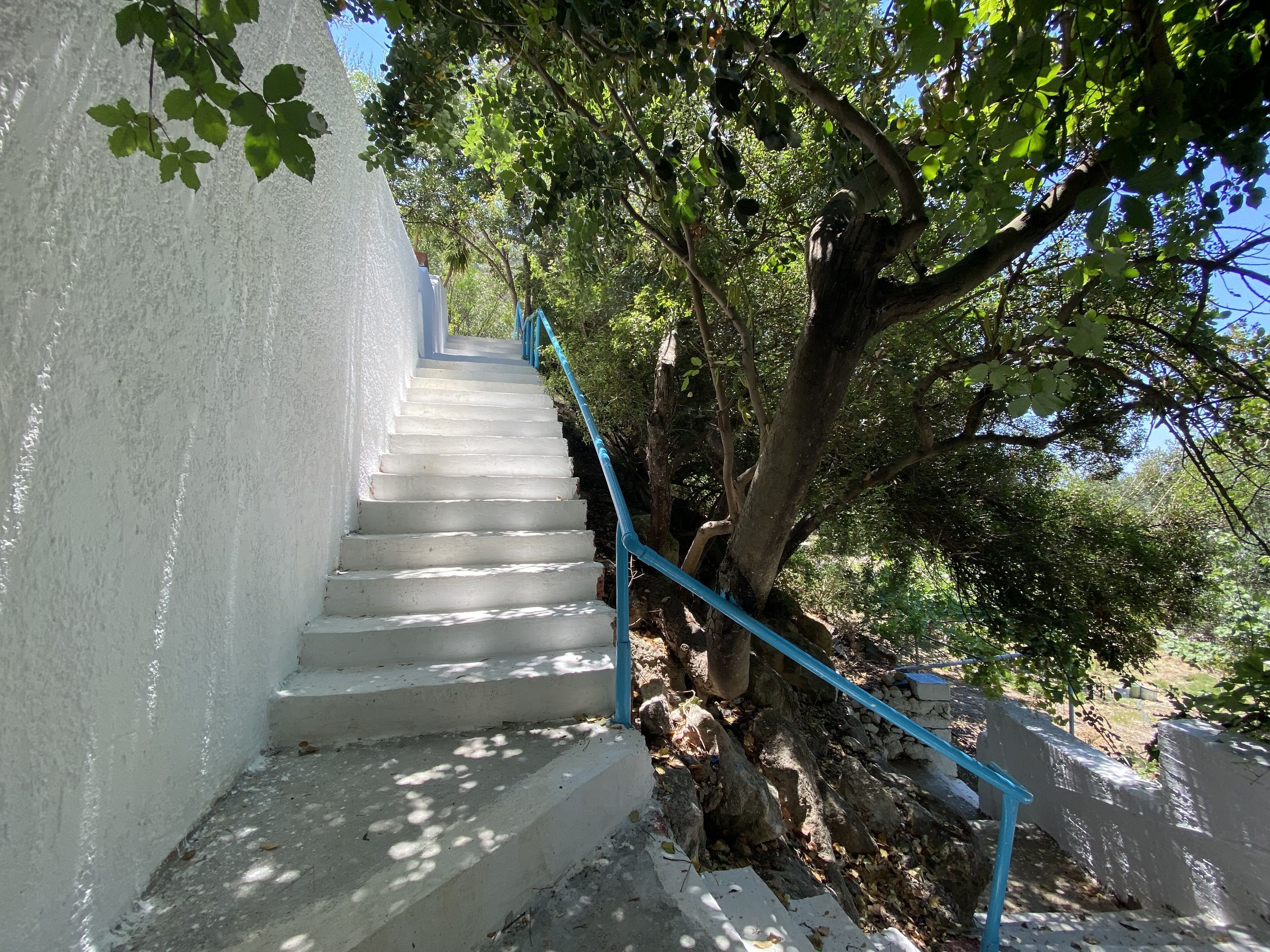 Un escalier en béton avec des rampes bleues, entouré d’arbres et de verdure.