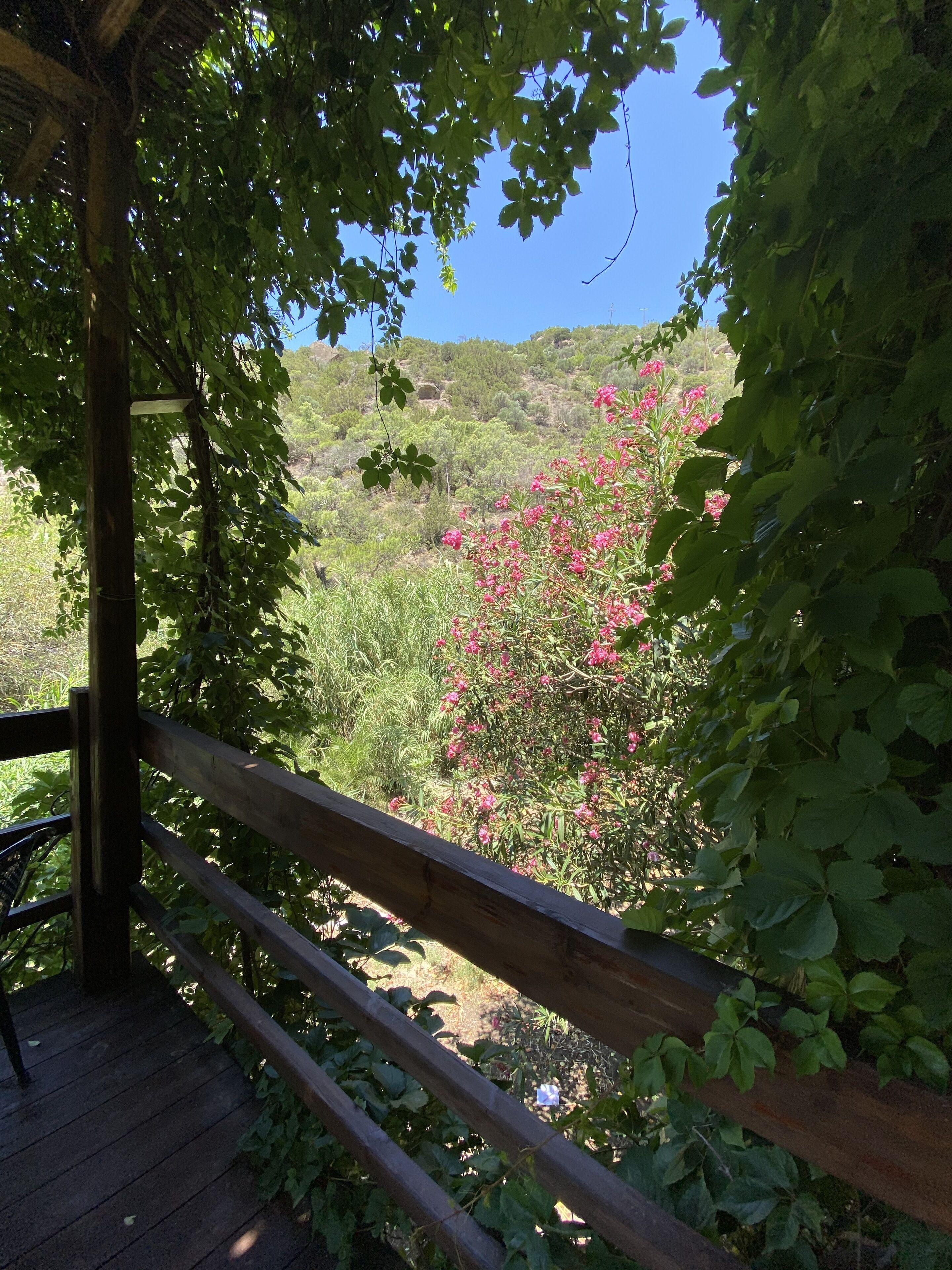 A wooden deck with a view of a hillside covered in greenery and pink flowers.