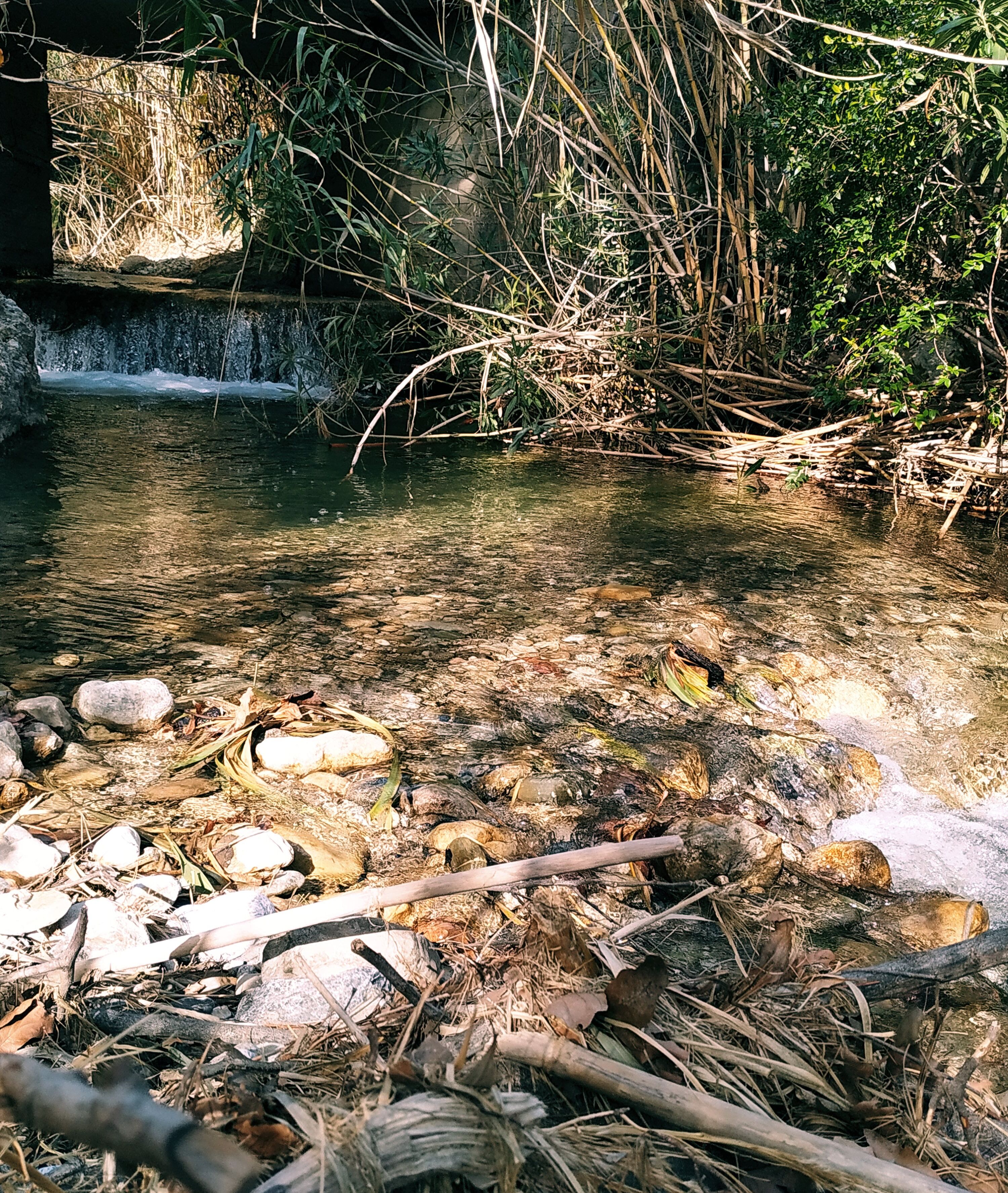 A natural outdoor setting with a clear stream, rocks, and vegetation.
