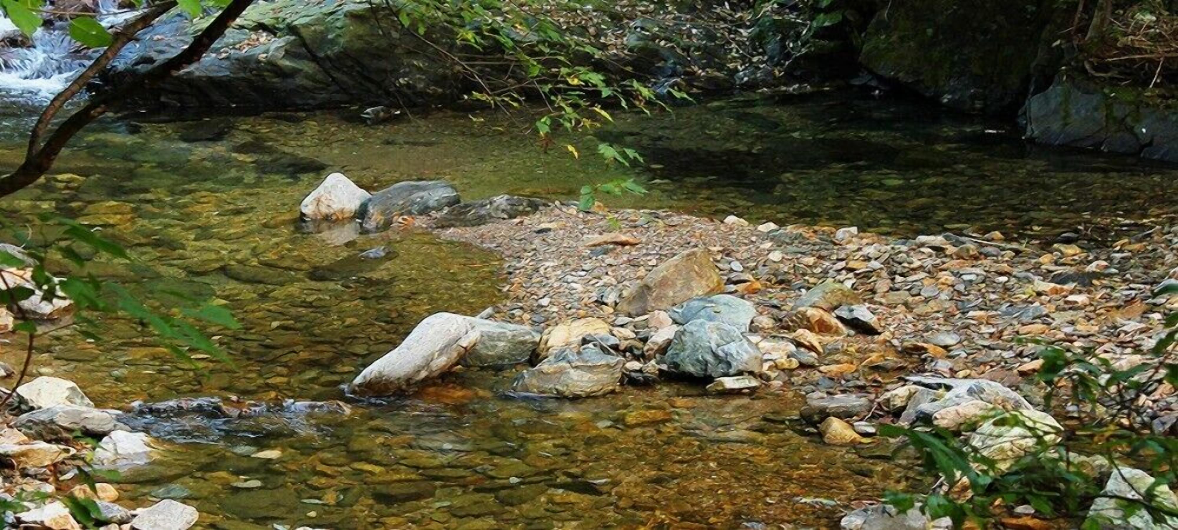 A clear stream with rocks and pebbles, surrounded by greenery.