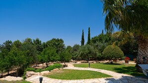 A landscaped garden with a stone pathway, various trees, and a palm tree. - Villa 148 - Lofou (Kouklia)