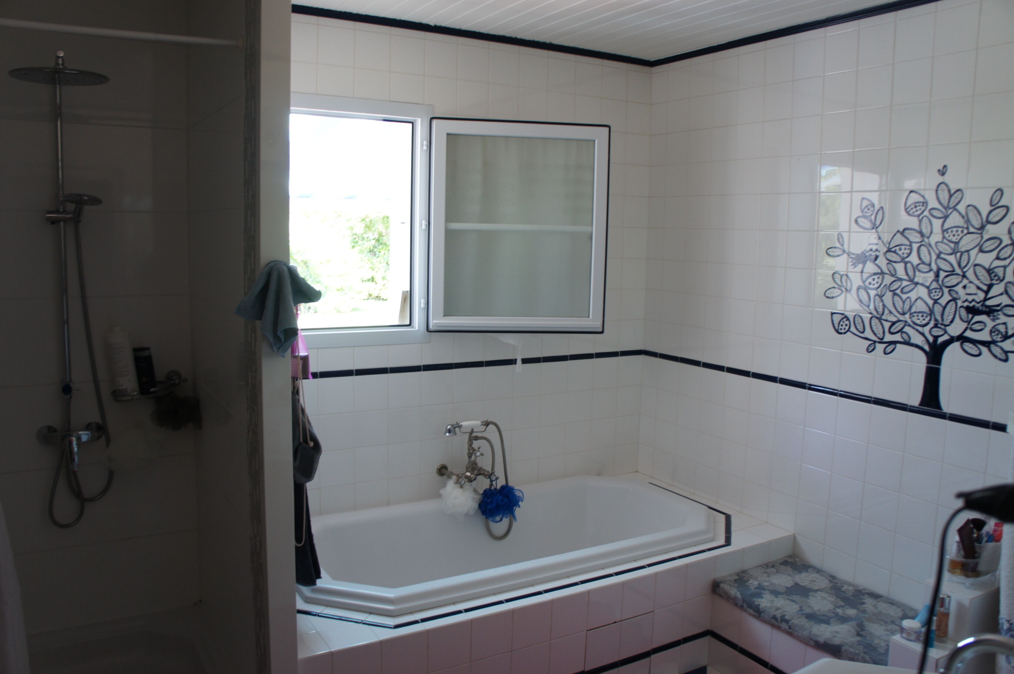 Une salle de bain avec une baignoire, une douche et une fenêtre.