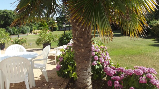 A patio area with white plastic chairs and a small table, surrounded by a palm tree and pink hydrangea bushes. - Entre Terre et Mer (Saint-Jean-de-Monts)