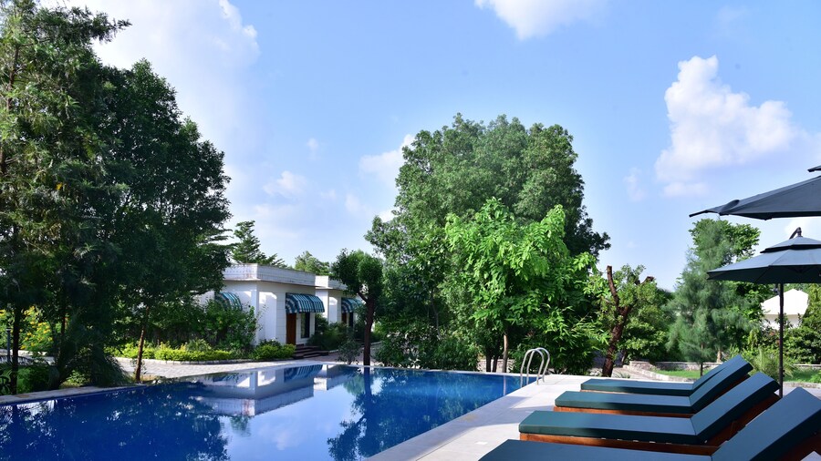 Clarks Safari Ranthambore