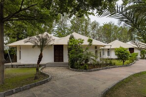 A row of single-story buildings with a flat roof, surrounded by greenery and a paved walkway. - Tree of Life Tiger Trails, Ranthambore (Sawai Madhopur)