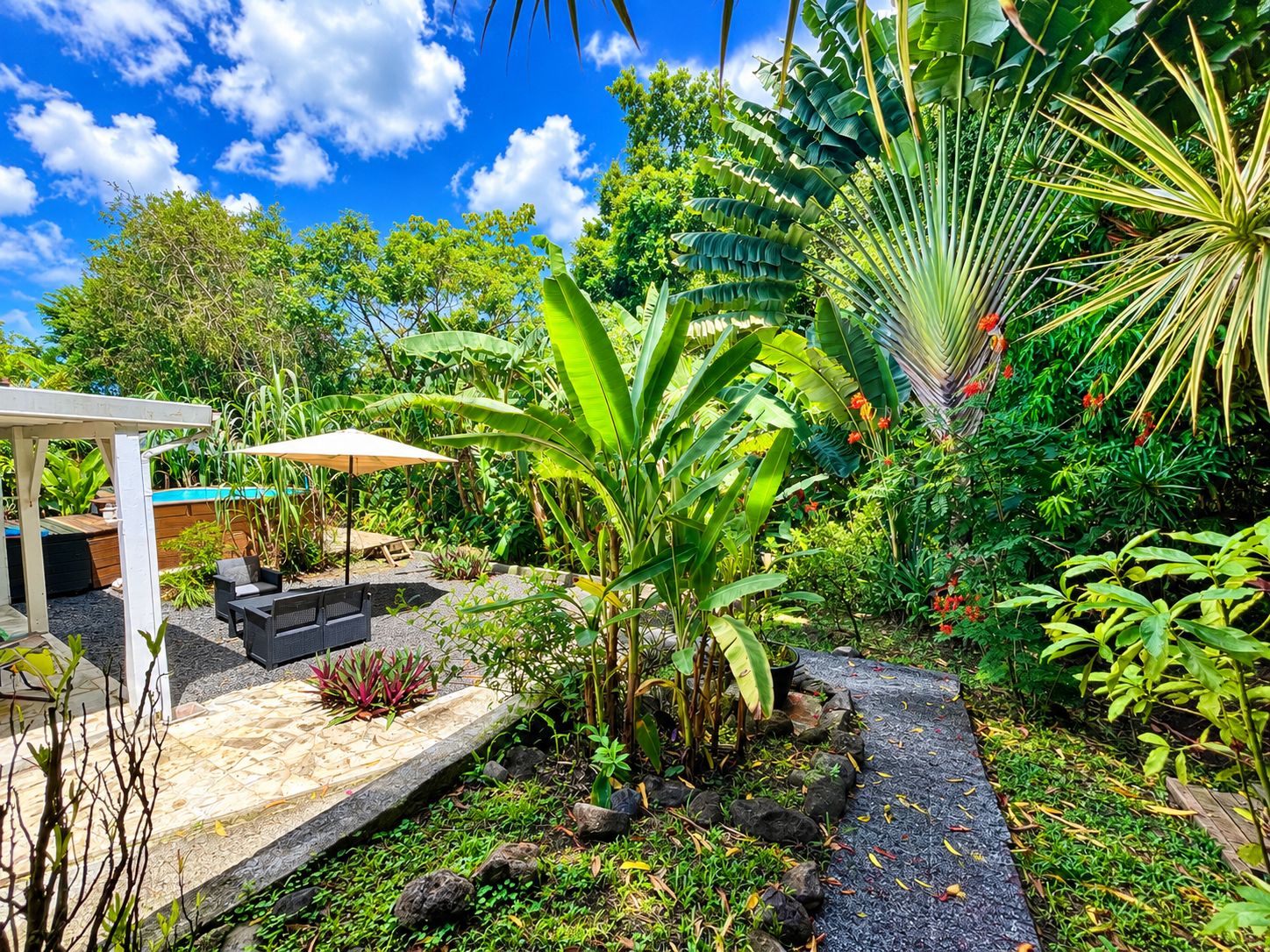 A garden with a patio area, outdoor furniture, and a variety of tropical plants.