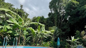 A clear blue swimming pool surrounded by lush greenery and a wooden deck. - 2Gites 800m from the beach private swimming pool in a tropical setting (Deshaies)