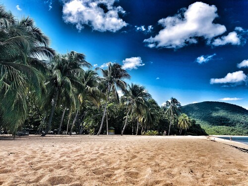 2Gites 800m from the beach private swimming pool in a tropical setting