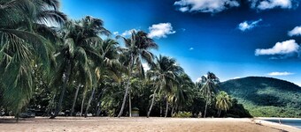 2Gites 800m from the beach private swimming pool in a tropical setting