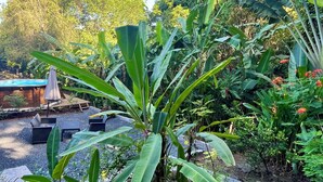 A garden with a pool, outdoor seating, and lush greenery. - 2Gites 800m from the beach private swimming pool in a tropical setting (Deshaies)