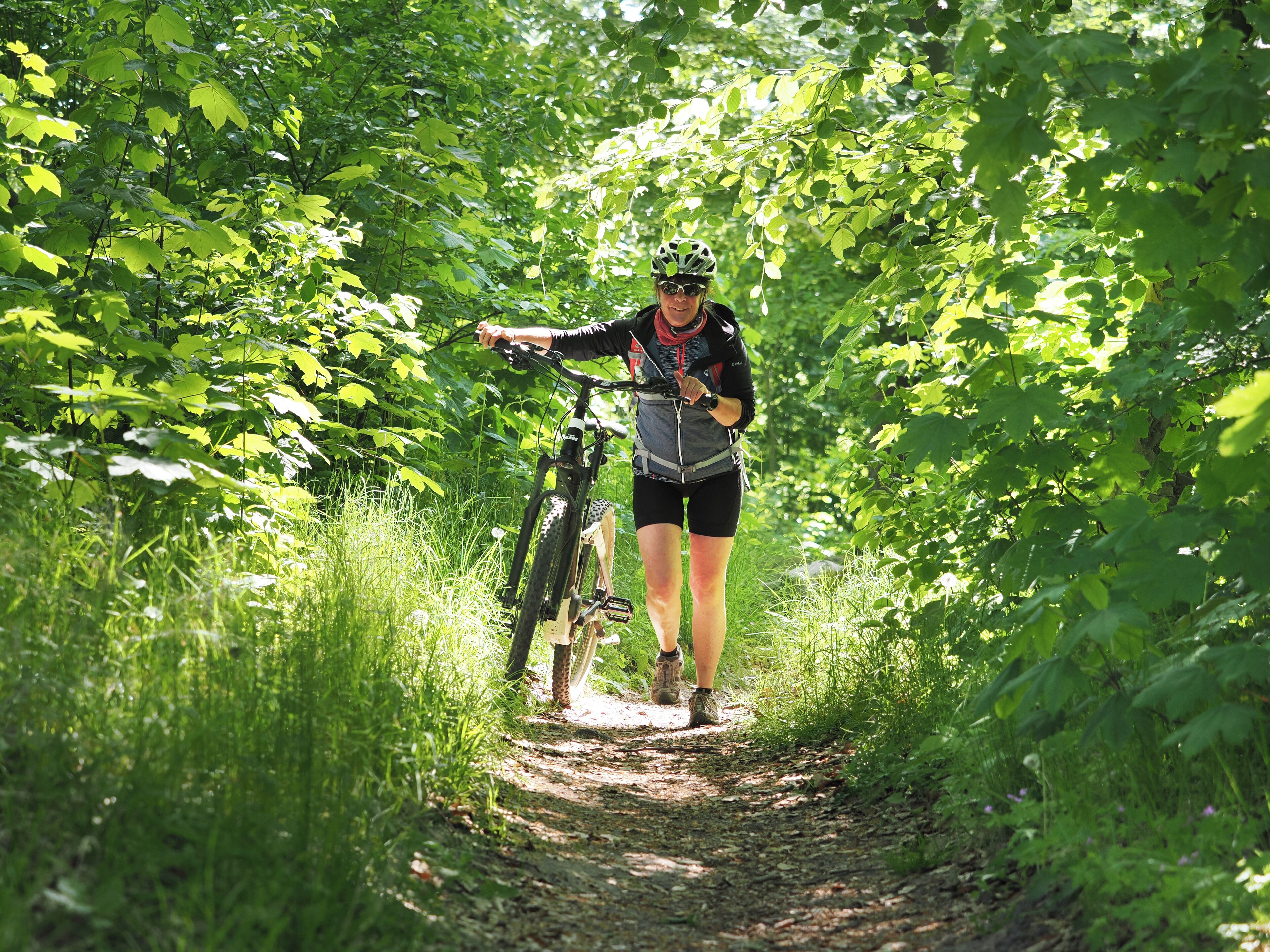 A person on a mountain bike trail surrounded by dense green foliage.