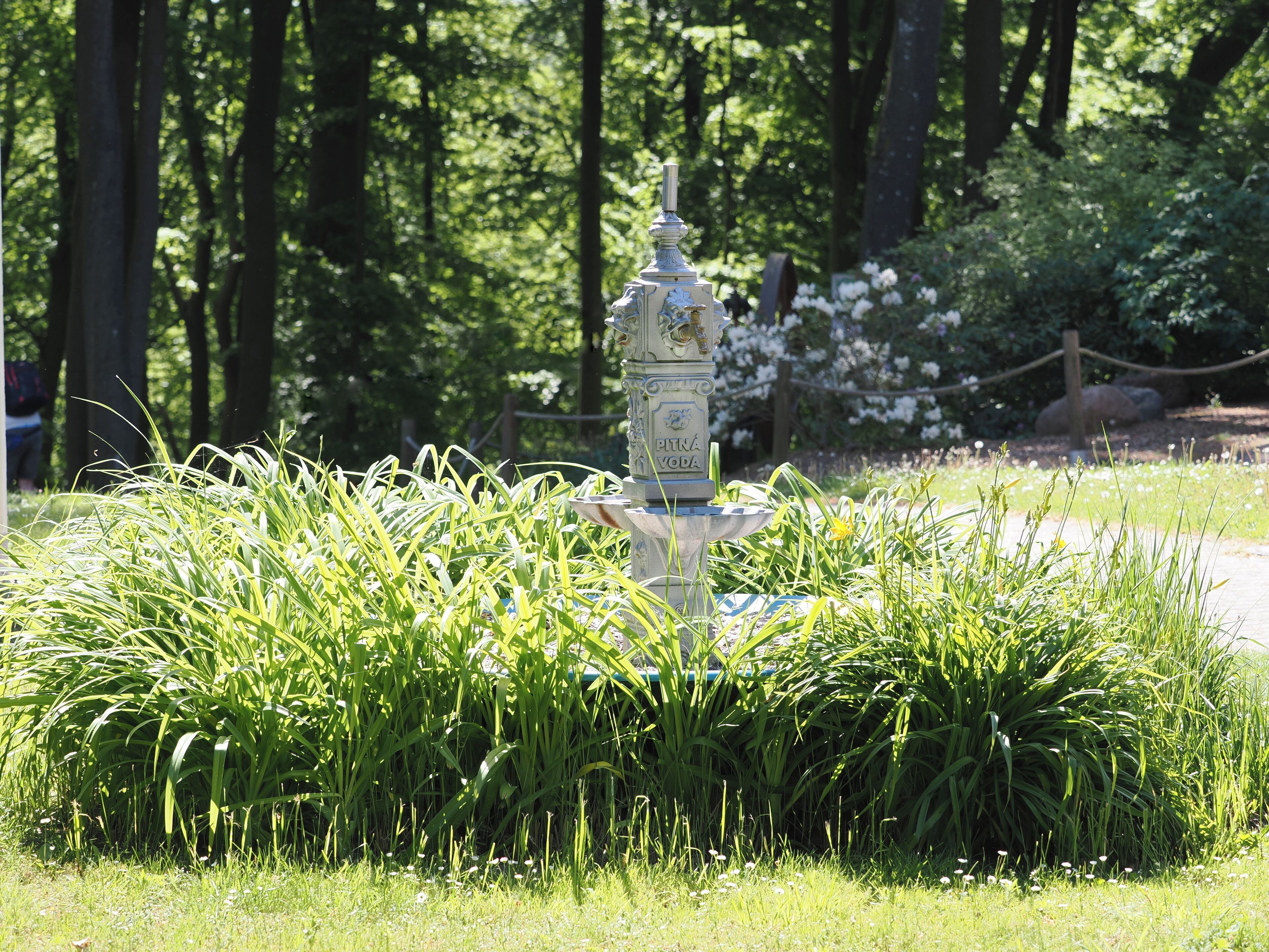 Ein Brunnen, umgeben von üppigem Grün in einer Parkanlage.