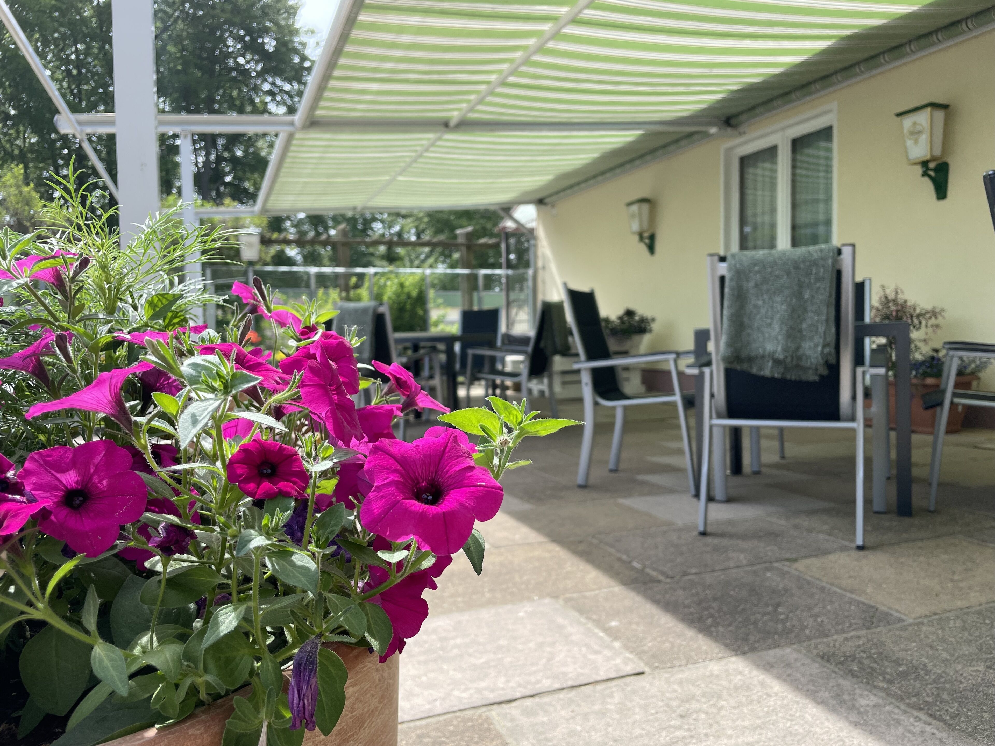A patio area with a covered seating area, a potted plant with vibrant flowers, and outdoor furniture.