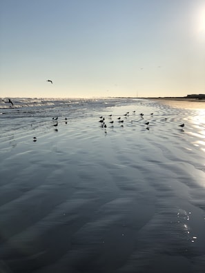 Una playa cerca, sillas reclinables de playa, toallas de playa