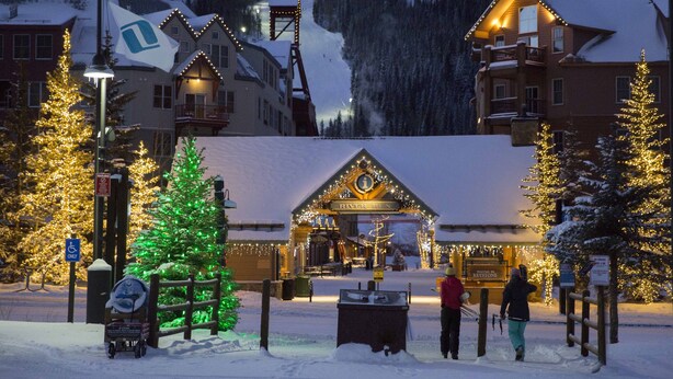 A snow-covered town with illuminated buildings and a Christmas tree.