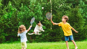 Twee kinderen spelen met een hond in een grasrijk buitengebied met bomen op de achtergrond.