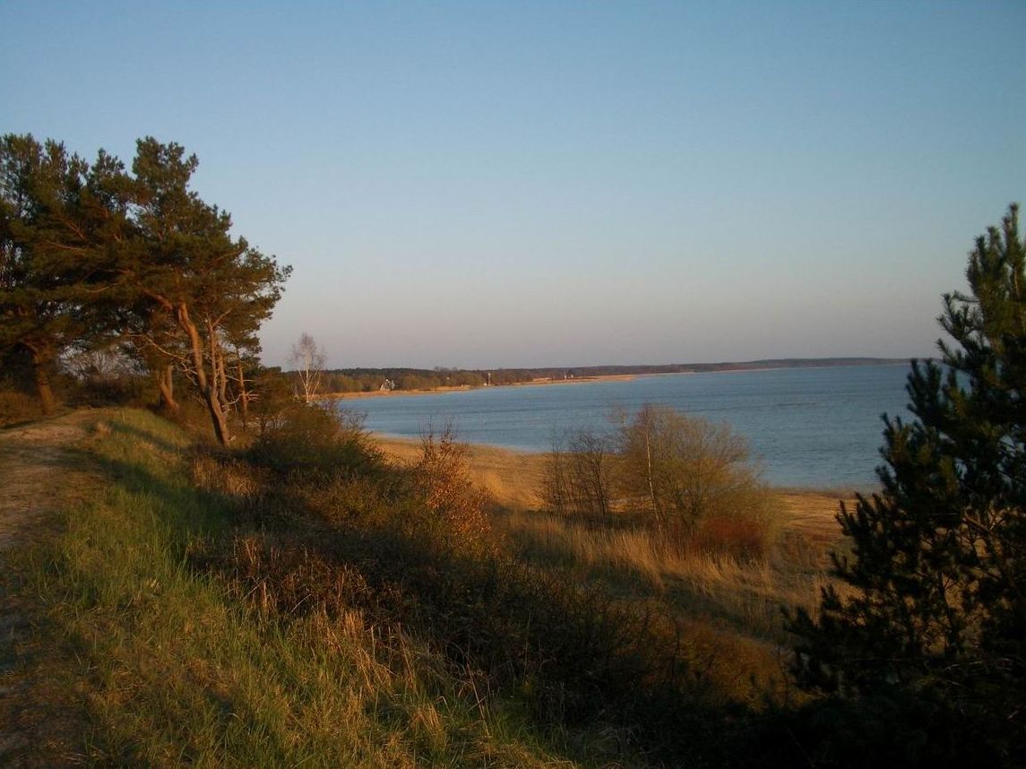 Un paysage côtier avec un ciel dégagé, des arbres et une étendue d’eau.
