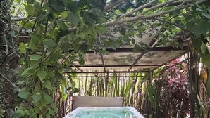Una vasca idromassaggio circondata da piante rigogliose e una struttura a pergola.
