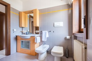 Dusche, Regendusche, Haartrockner, Bidet