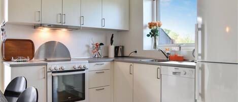 Fridge, stovetop, dishwasher, coffee/tea maker