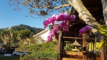 Terraço/pátio