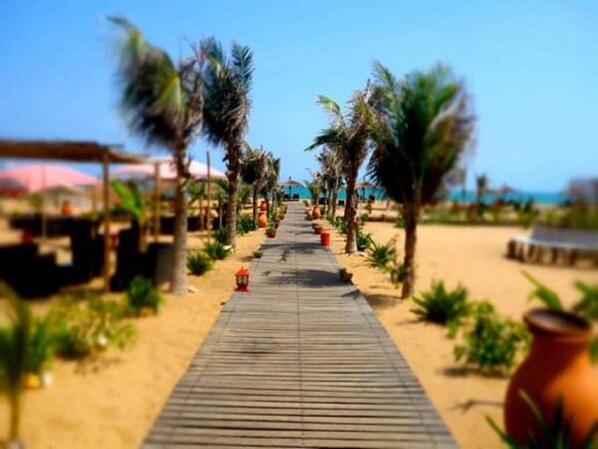 Terrein van de accommodatie