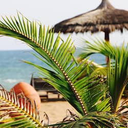 Private beach, sun-loungers, beach bar