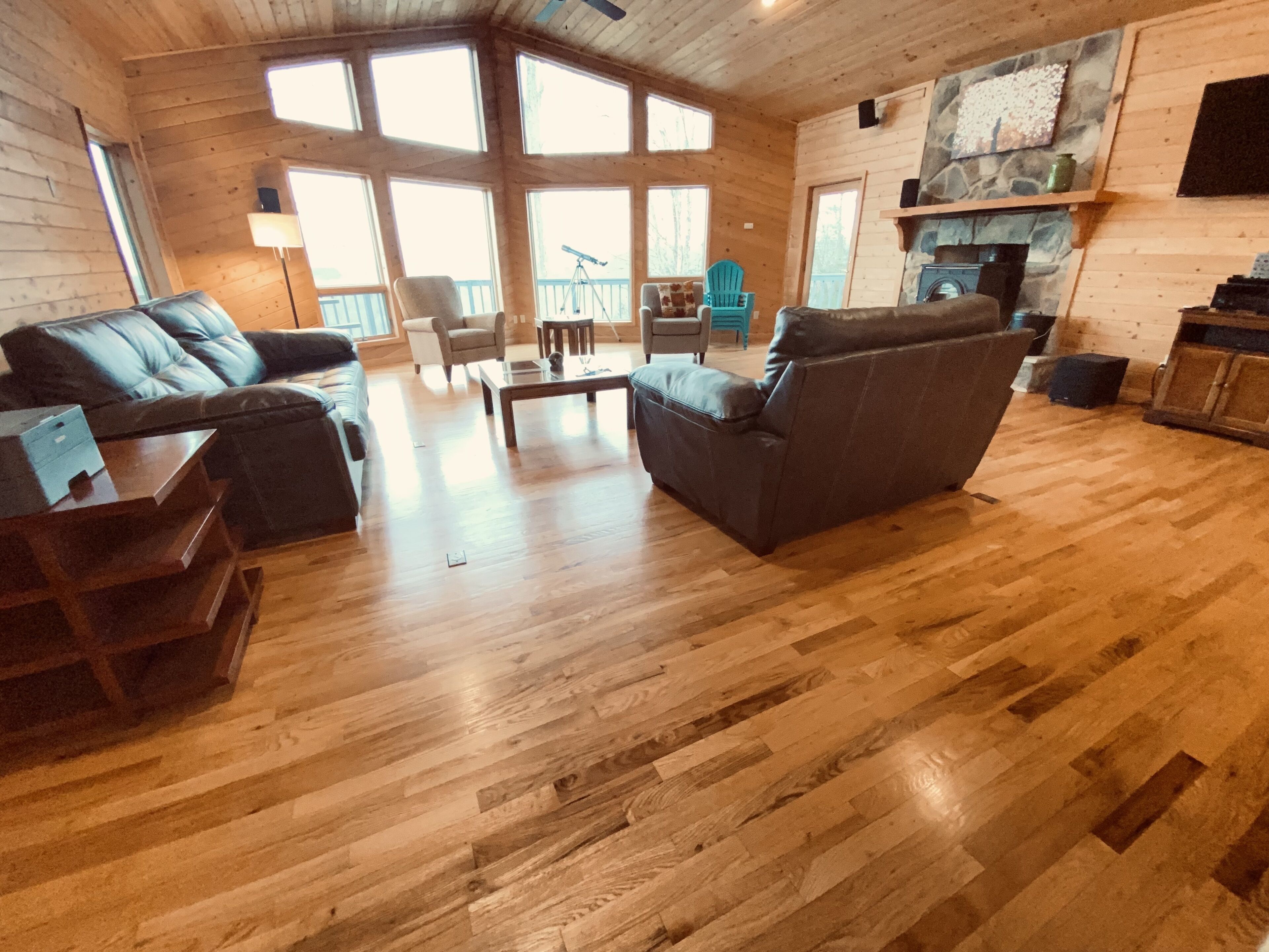 智能电视、DVD 播放器、书、影片库