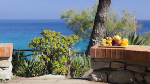 Une vue sur la mer avec un mur de pierre, un arbre et une table garnie de fruits.