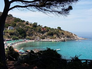 Vista desde la propiedad