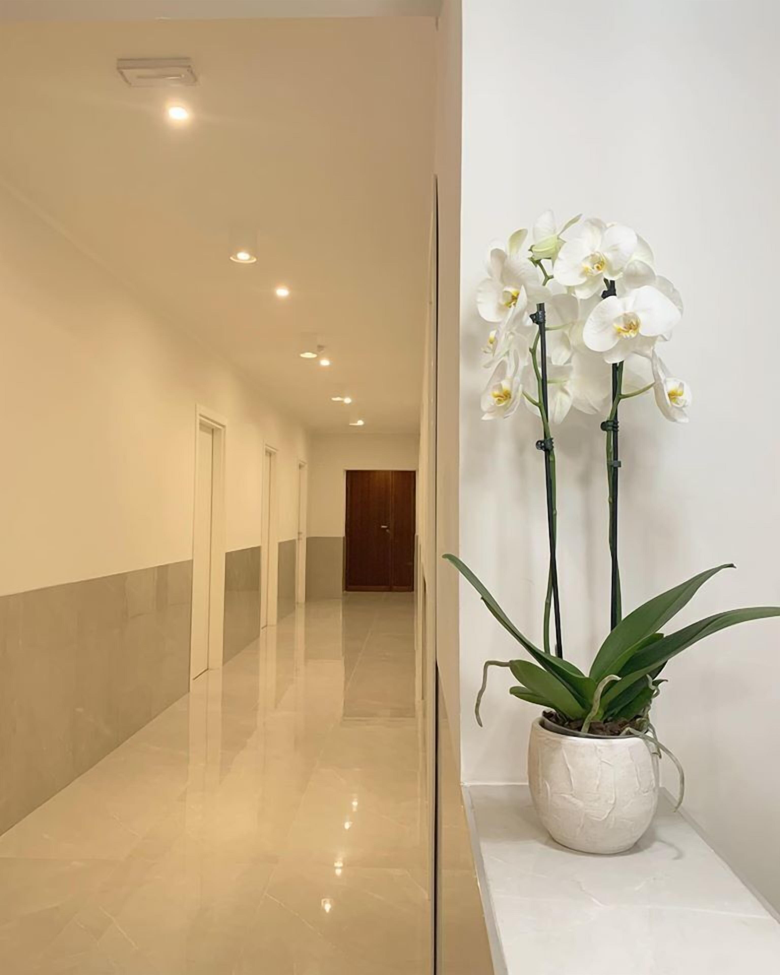 مد خل داخلي