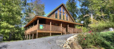 Casa, varias camas (A Beary Tale #258) | Exterior