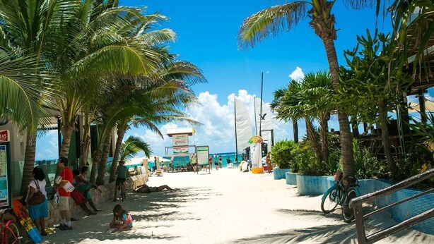 A beachside area with palm trees, a signboard, and a bicycle. - Dream Location! 2BR Near Beach+clubs!! Sleeps 6!! (Playa del Carmen)