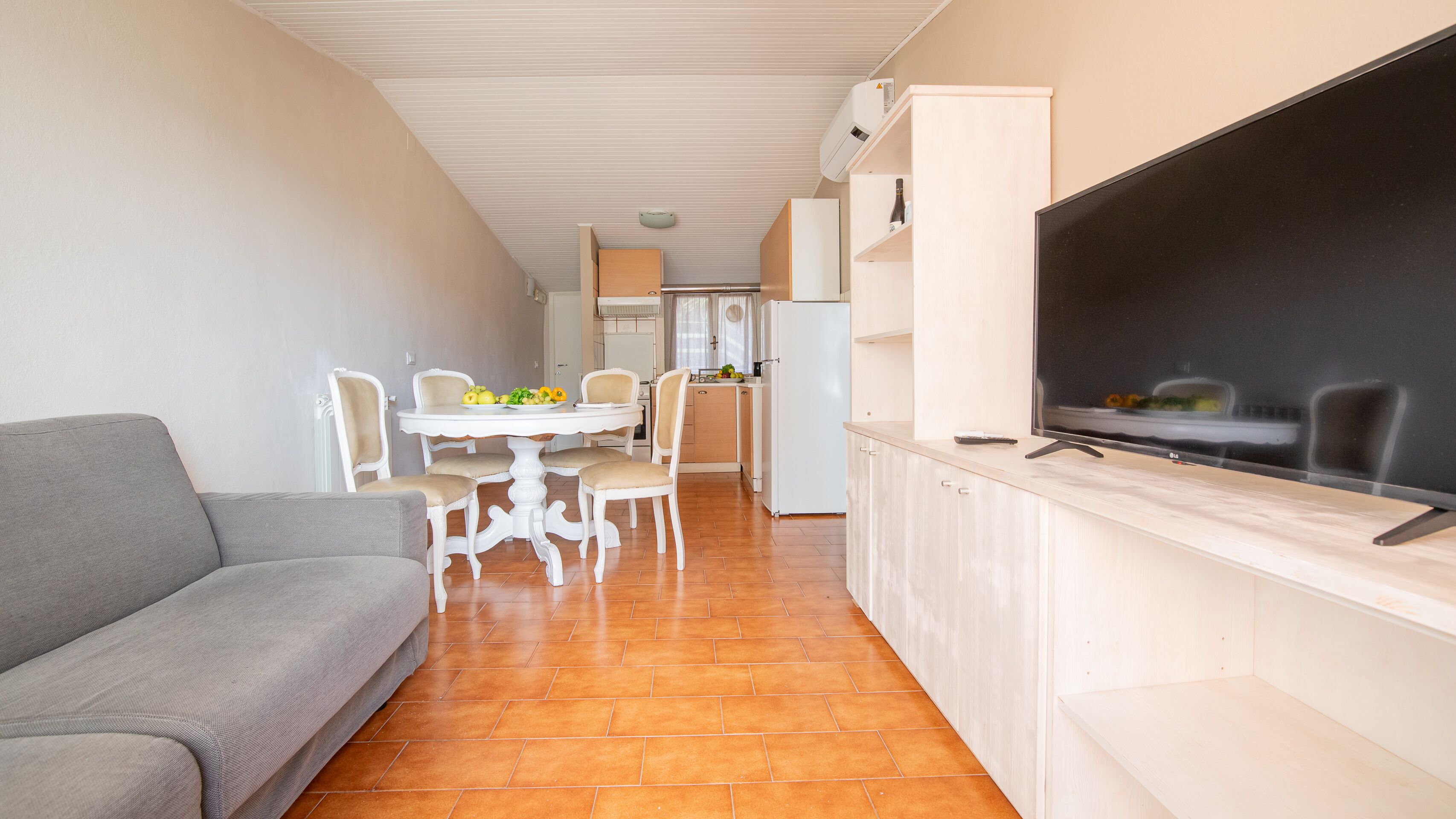 A compact living space with a sofa, dining table, chairs, a TV, and a kitchen area.