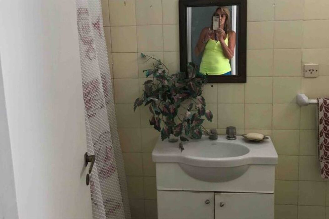 A bathroom with a sink, mirror, and a potted plant.