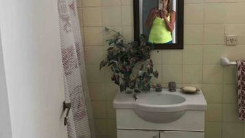 A bathroom with a sink, mirror, and a potted plant.