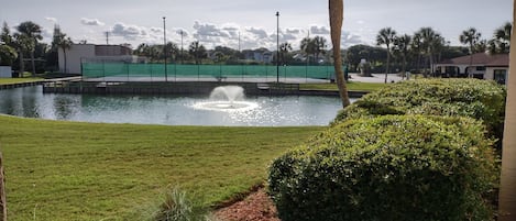 Parco della struttura