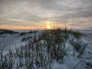 A beach with sand dunes and sparse vegetation. - Enjoy ocean sunrises on beautiful Anistasia Island as well as oldest city in USA (St augustine)