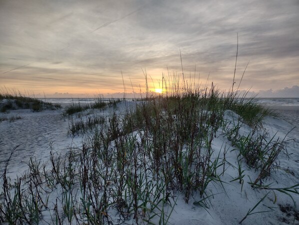 On the beach, sun-loungers, beach towels