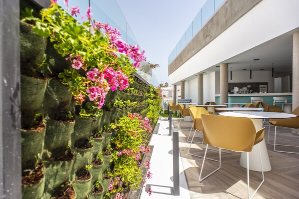 Bar (on property) - Hotel Taimar (Pajara)