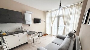 A modern living room with a grey sofa, a dining table with chairs, a kitchen area with white cabinets, a flat-screen TV, and a large window with curtains.