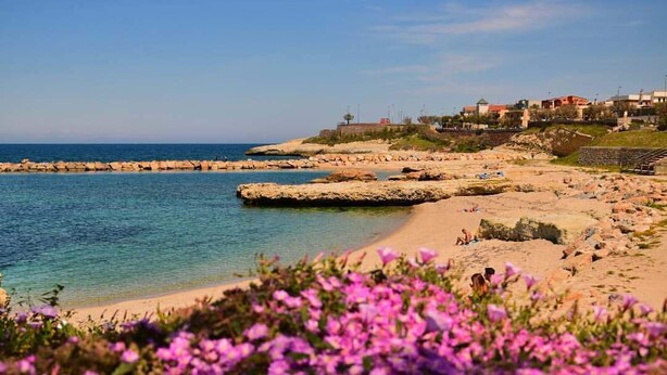 A coastal area with rocky formations, clear blue water, and buildings in the background.