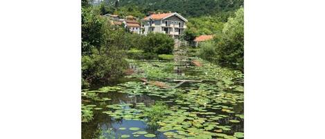 Terrain de lâhĂ©bergement