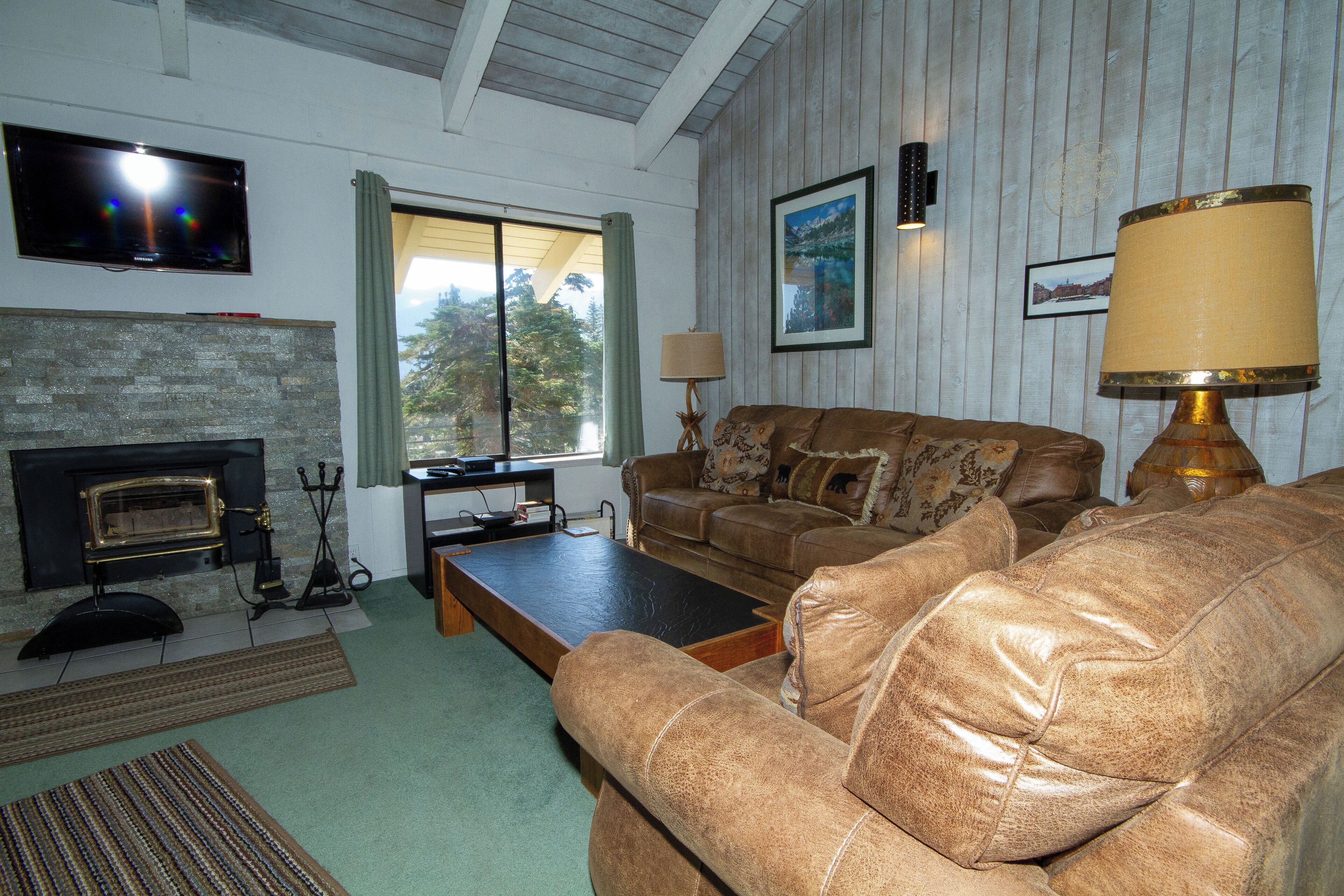 Tv, pejs, videospil, dvd-afspiller