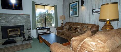 TV, fireplace, video games, DVD player