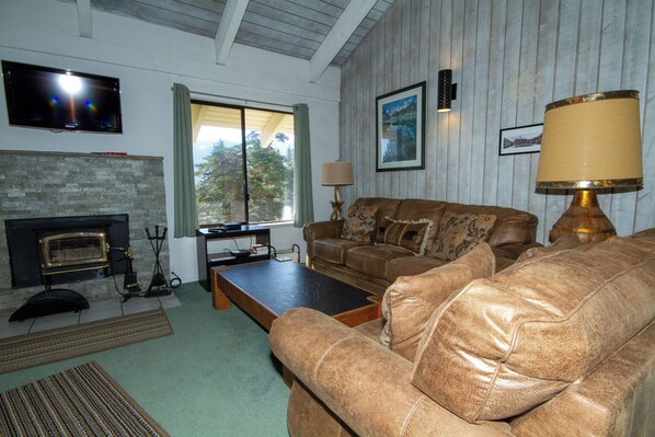 Televisión, chimenea, videojuegos y reproductor de DVD 