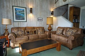 Televisión, chimenea, videojuegos y reproductor de DVD 