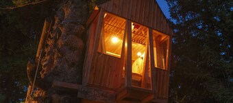 Tree house  close to Chalet  Slovenia Alps